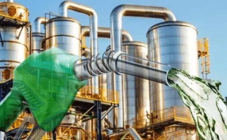 Nordeste dá o pontapé na biorrefinaria de bambu para etanol pioneira nas Américas